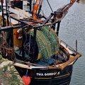Trawler - picture 10